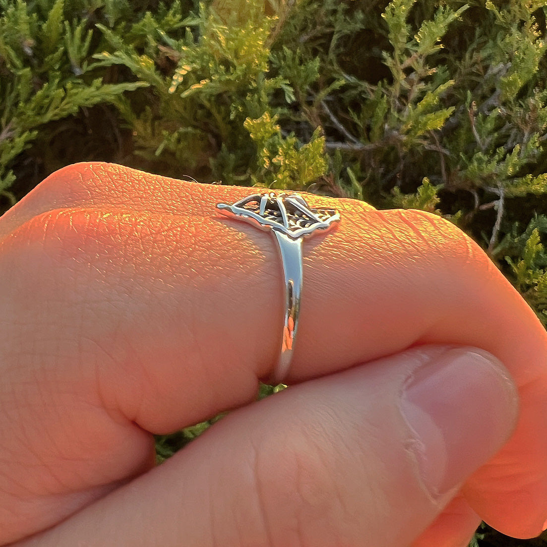 Silver Webbed Sider Signet