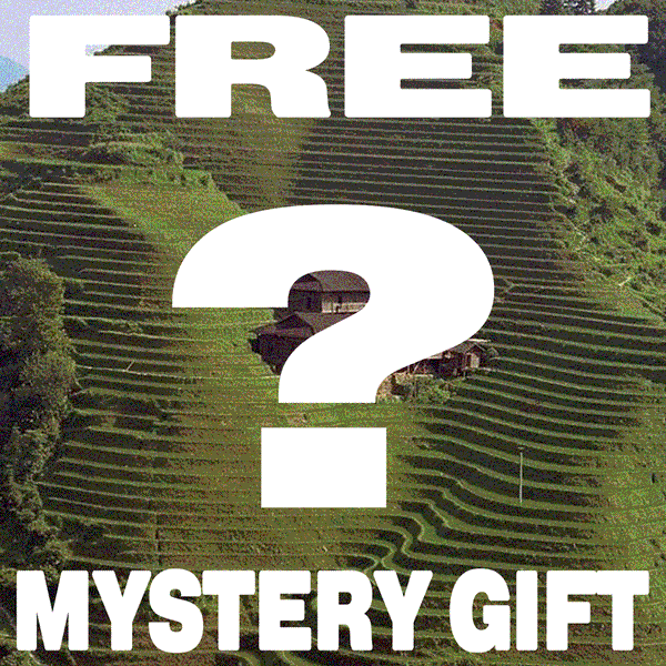 FREE MYSTERY BLING