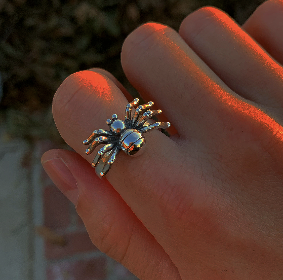 Silver Spider Ring