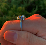 Silver Spider Ring